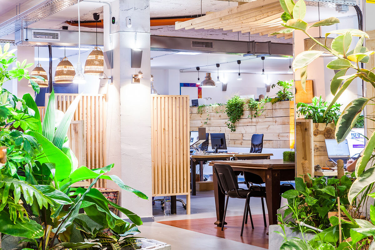 Coworking Palma at Cómodo&Co Arxiduc location with private desks and meeting rooms